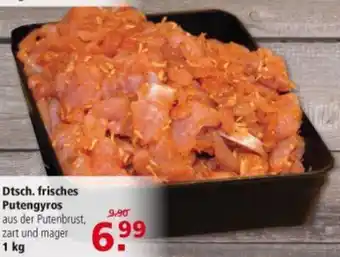 Multi Markt Dtsch. frisches Putengyros 1kg Angebot