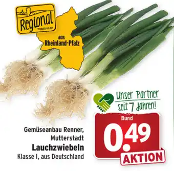 Wasgau Lauchzwiebeln Angebot