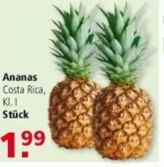 Multi Markt Ananas Costa Rica Angebot