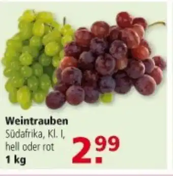 Multi Markt Weintrauben 1kg Angebot