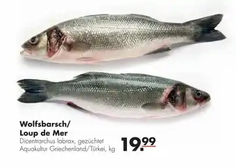 Handelshof Wolfsbarsch/ loup de mer Angebot