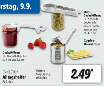 Lidl Ernesto Alltagshelfer Angebot