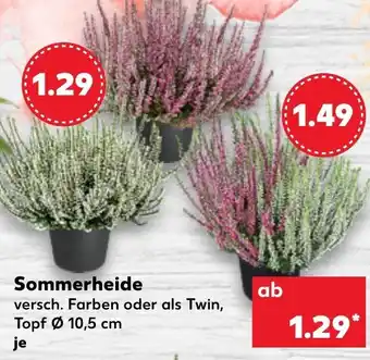 Kaufland Sommerheide Angebot