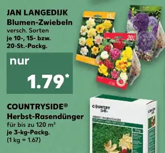 Kaufland JAN LANGEDIJK Blumen-zwiebeln Angebot