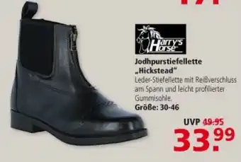 Multi Markt Jodhpurstiefellette ,,Hickstead" Angebot