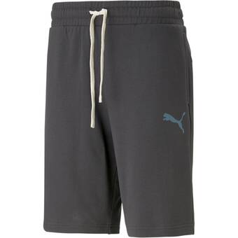 Intersport Puma herren shorts ess better shorts 10 tr flat dark gray m Angebot