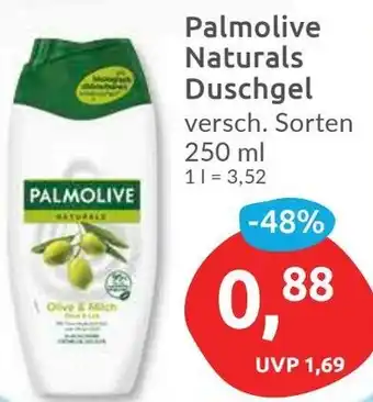 Budni Palmolive Naturals Duschgel 250 ml Angebot