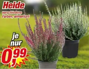 Posten Börse Heide Angebot