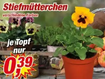 Posten Börse Stiefmütterchen Angebot