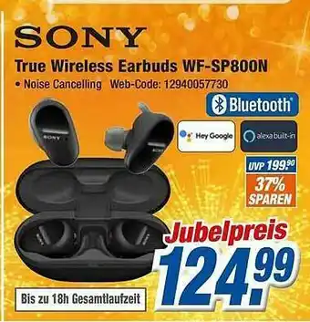 Expert Klein Sony True Wireless Earbuds Wf-sp800n Angebot