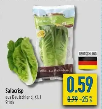 diska Salacrisp Angebot