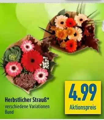 diska Herbstlicher Strauß Angebot