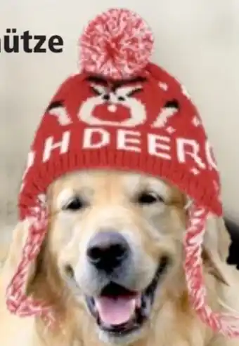 Thomas Philipps Hunde-weihnachtsmütze Angebot