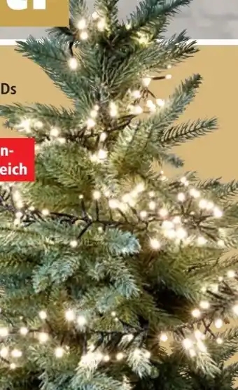 Thomas Philipps Led-cluster-lichterkette Angebot