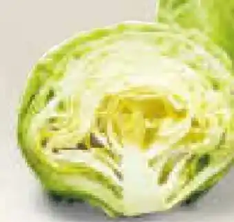 Netto Marken-Discount Eisbergsalat Angebot