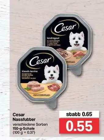 Famila Nord Ost Cesar Nassfutter Angebot