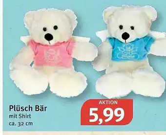 Feneberg Plüsch Bär Angebot