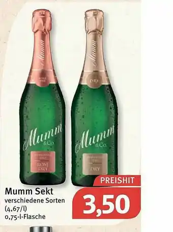 Feneberg Mumm Sekt Angebot