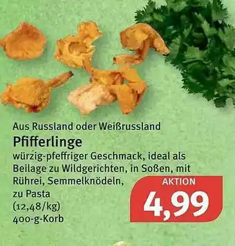 Feneberg Aus Russland Oder Weißrussland Pfifferlinge Angebot