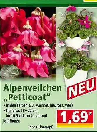 Norma Alpenveilchen „petticoat” Angebot