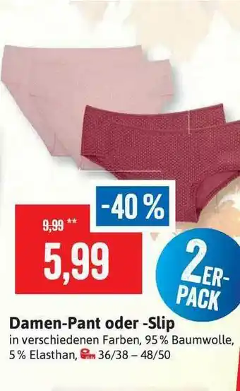 Stolz Damen-pant Oder -slip Angebot