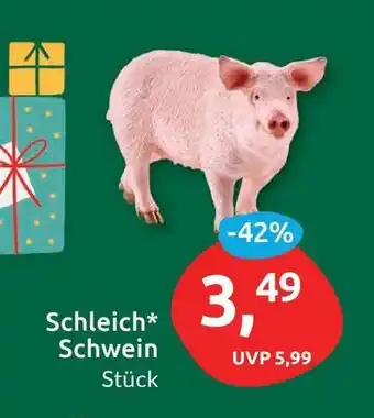 Budni Schleich Schwein Stück Angebot