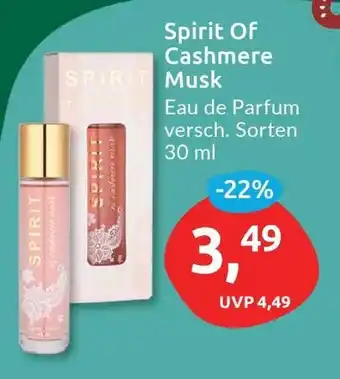 Budni Spirit Of Cashmere Eau de Parfum versch. Sorten 30 ml Angebot