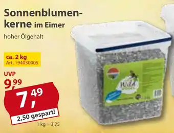 Sonderpreis Baumarkt Sonnenblumenkerne im Eimer 2kg Angebot