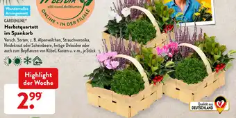 Aldi Süd Gardenline Herbstquartett im Spankorb Angebot