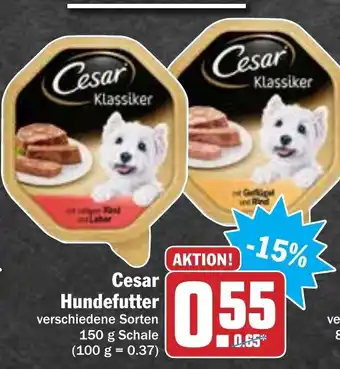 Hit Cesar hundefutter 150g Angebot