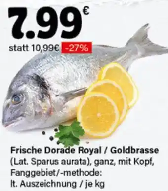 LEDO Frische Dorade Royal / Goldbrasse Angebot