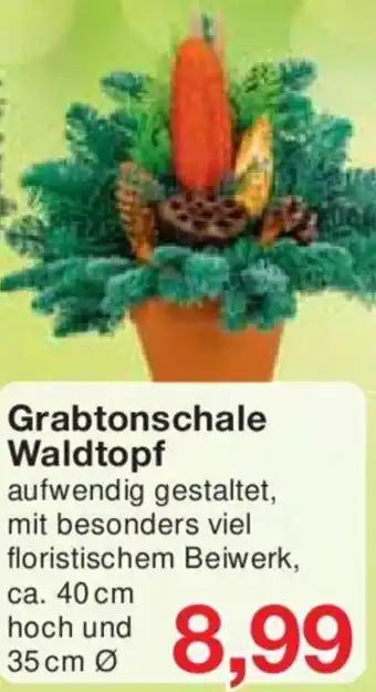 Jawoll Grabtonschale Waldtopf Angebot