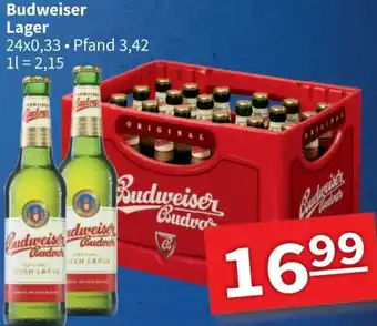 Anderl Getränke Budweiser Lager 24x0,33 L Angebot