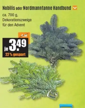 V Baumarkt Nobilis oder Nordmanntanne Handbund Angebot