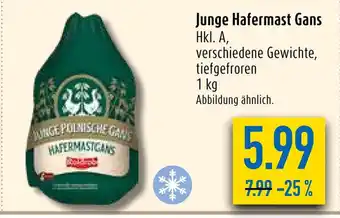 diska Junge Hafermast Gans 1kg Angebot