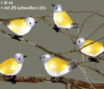 Thomas Philipps Led lichterkette Angebot