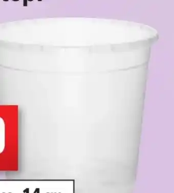 Thomas Philipps Orchideentopf Angebot