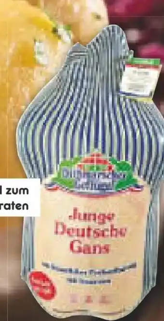 Netto Marken-Discount Junge deutsche gans Angebot