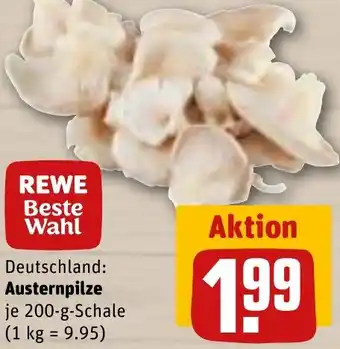 REWE Austernpilze 200 g Schale Angebot