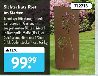 Aldi Süd Sichtschutz Rost im Garten Angebot