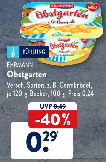 Aldi Süd Ehrmann Obstgarten 120g Becher Angebot