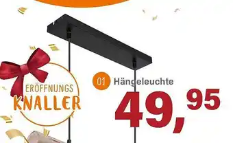 Schleudermaxx Hängeleuchte Angebot