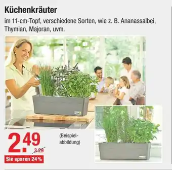 V Baumarkt Küchenkräuter Angebot