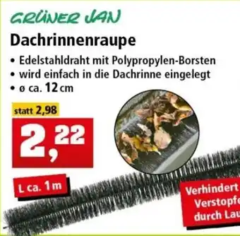 Thomas Philipps Grüner Jan Dachrinnenraupe Angebot