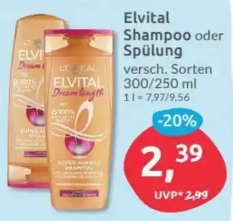 Budni Elvital Shampoo oder Spülung 300/250ml Angebot