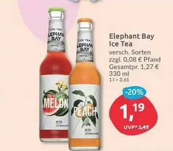 Budni Elephant Bay Ice Tea Angebot