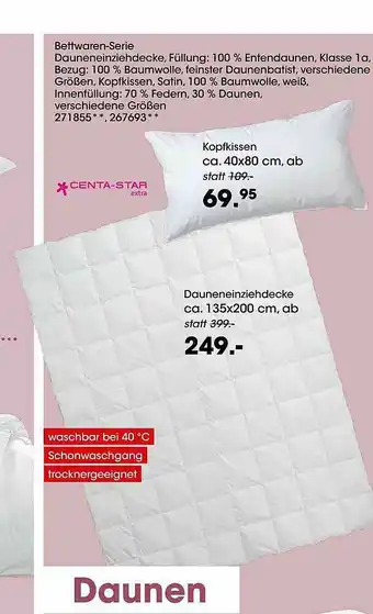 Möbel Martin Dauneneinziehdecke, Kopfkissen Angebot