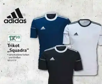 Selgros Adidas Trikot „squadra” Angebot