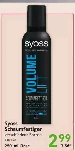 Selgros Syoss Schaumfestiger Angebot