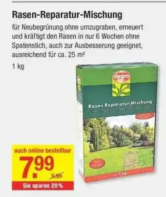 V Baumarkt Rasen-reparatur-mischung Angebot